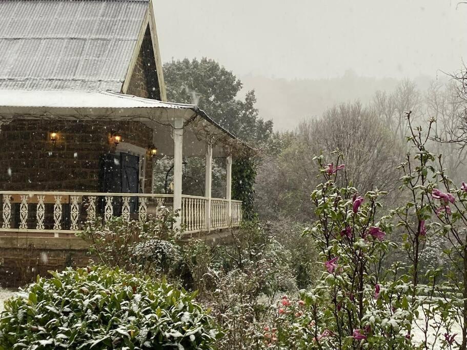 Yellowwoods Farm - Willoughbys Cottage And Old Stables Cottage Curryʼs Post 외부 사진