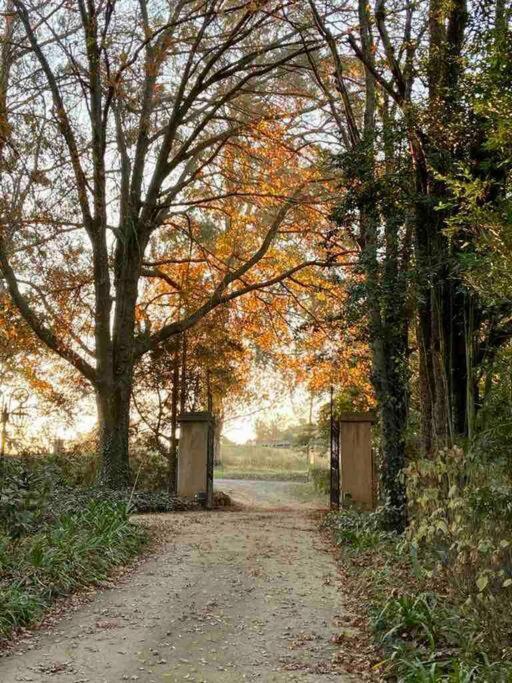 Yellowwoods Farm - Willoughbys Cottage And Old Stables Cottage Curryʼs Post 외부 사진